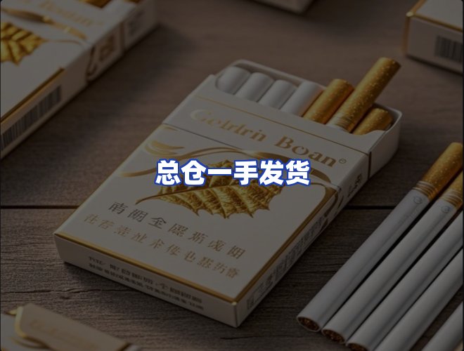 专业团队